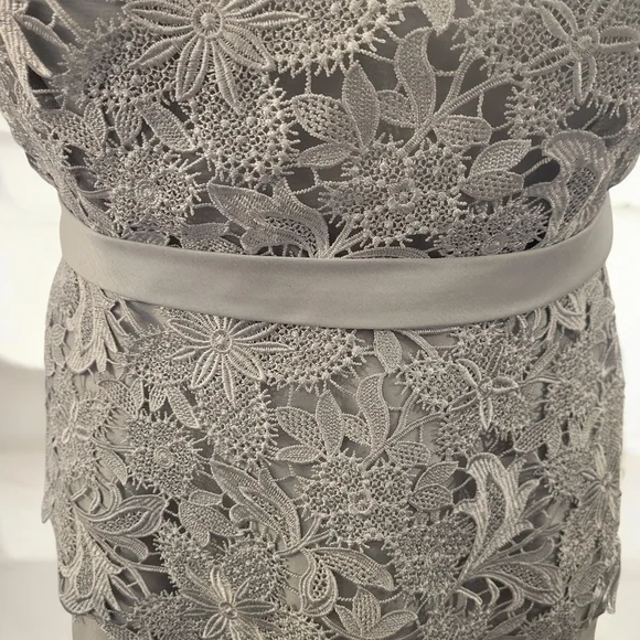 Serena London Gray Lace Dress Size 16 Wedding Attire (NWT) - Picture 3 of 4
